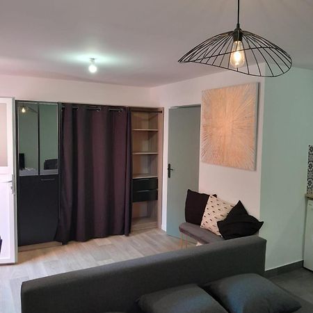 Appartement Proche Gare 圣布里厄 外观 照片