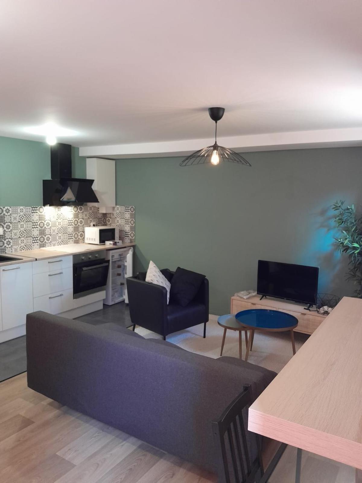 Appartement Proche Gare 圣布里厄 外观 照片